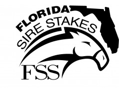 Florida Thoroughbred Horse Racing