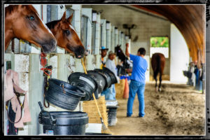 Florida Thoroughbred Horse Racing Association Office Assistant Wanted