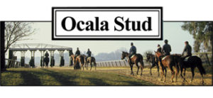 Ocala Stud Named TOBA Florida State Thoroughbred Racehorse Breeder of the Year